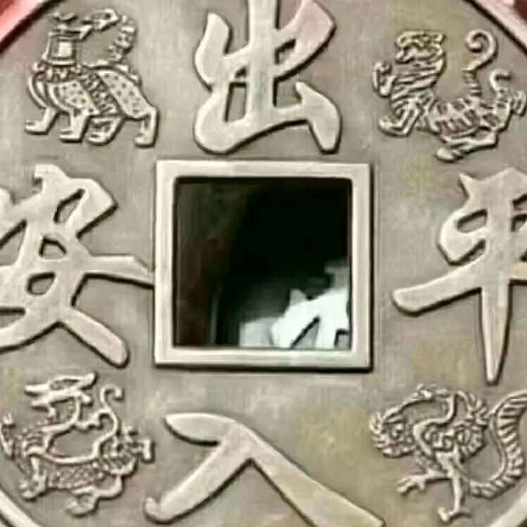 知了