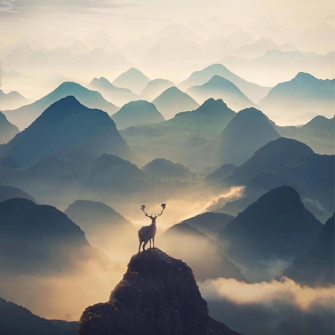 至尊