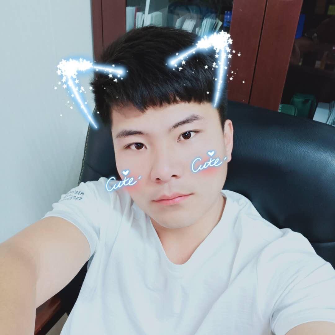 会飞的小虫儿