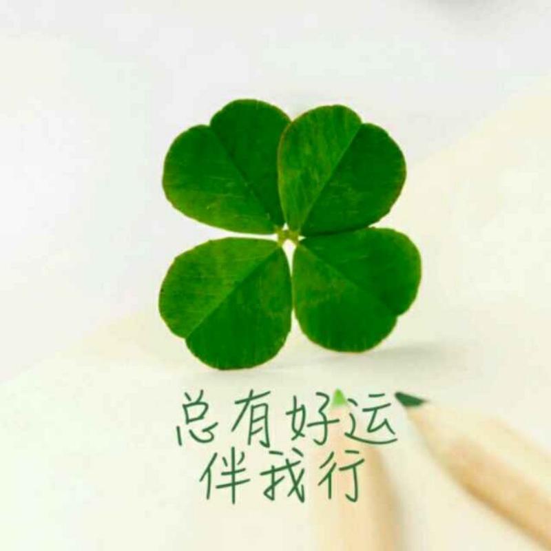 舒健
