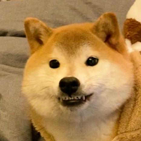 袜子杀手🥷