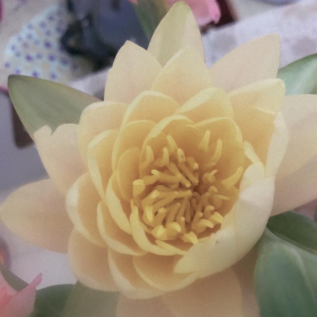 😊口常开