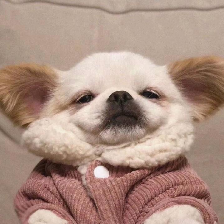 🧸~