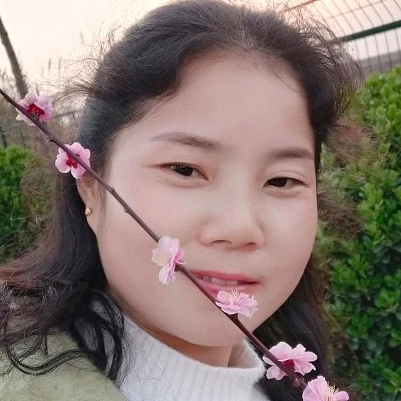 孤鸟