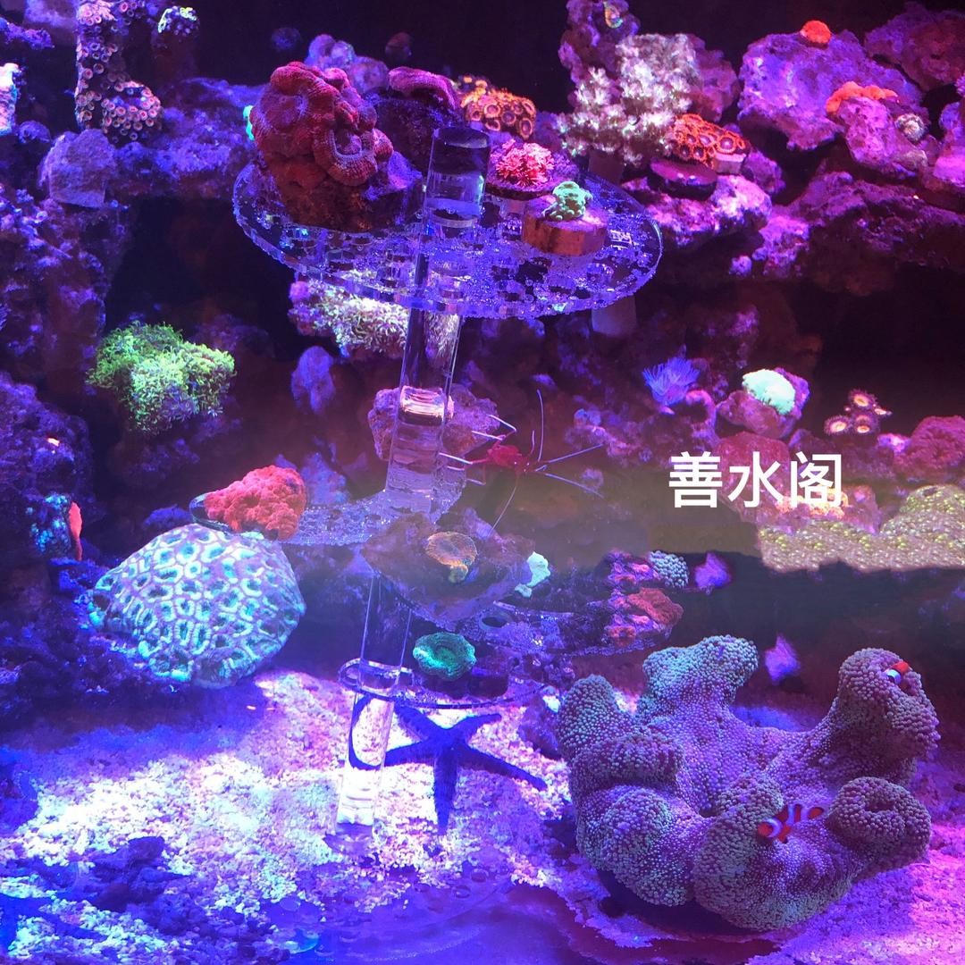 善水阁