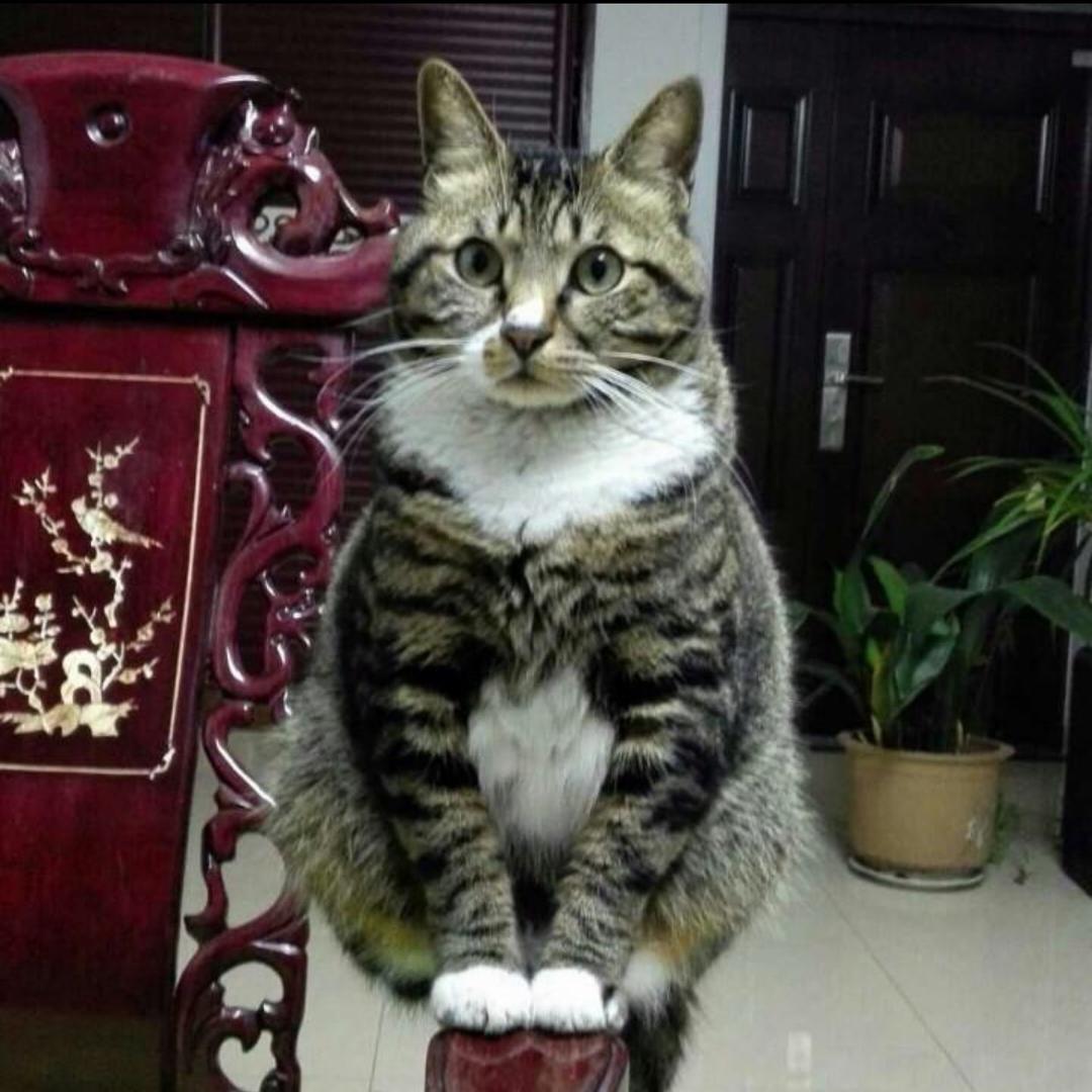 好好好