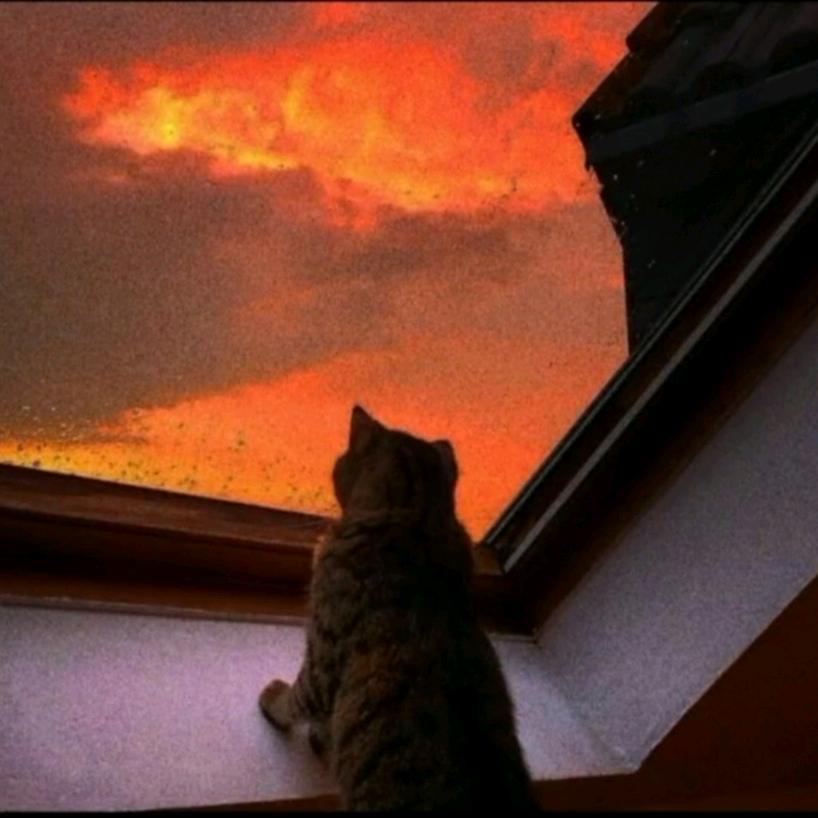 🌈🌈Joker-彭梓辰🌈