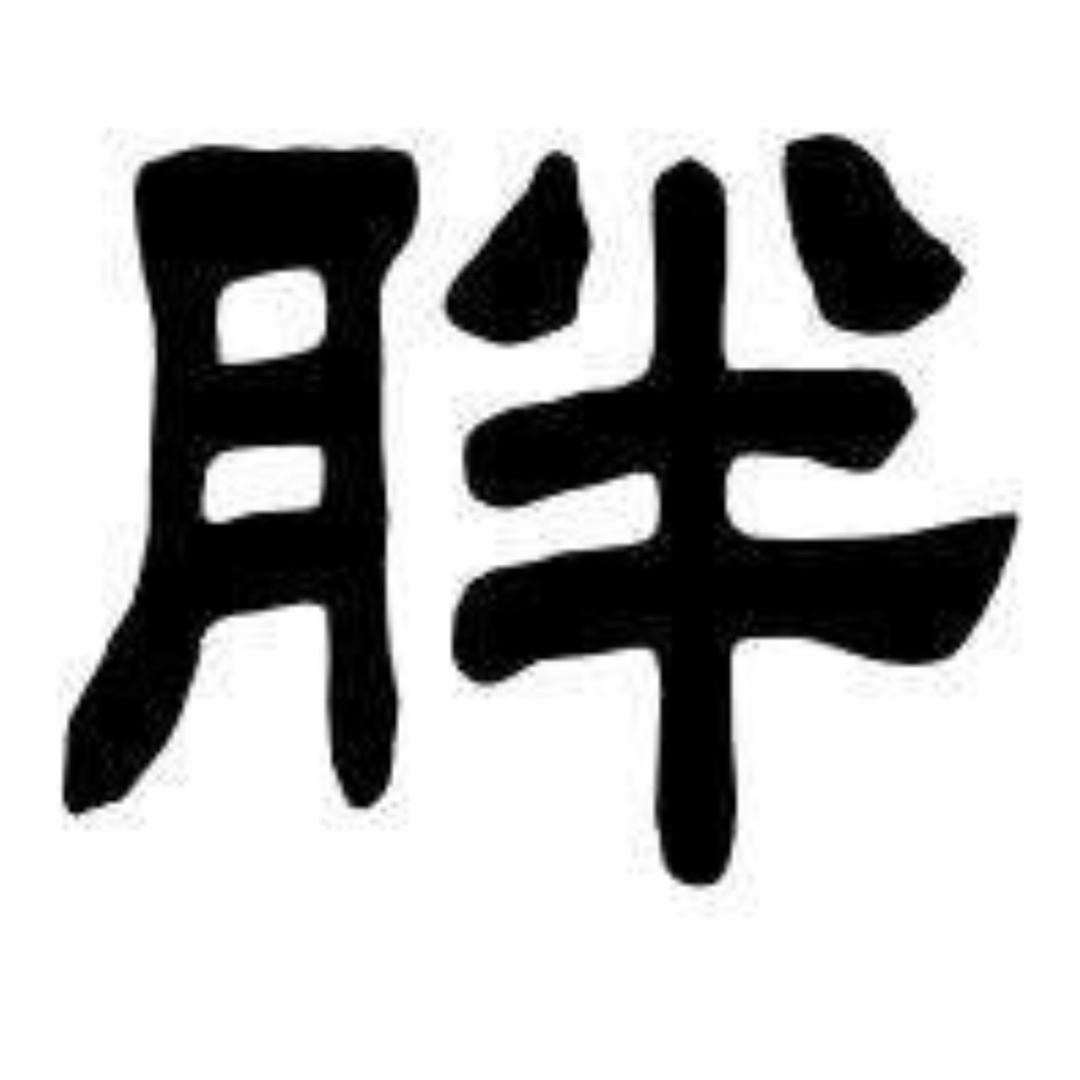 胖先生🇵🇸🕊