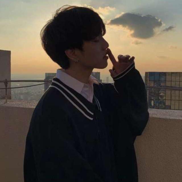 HN白菜