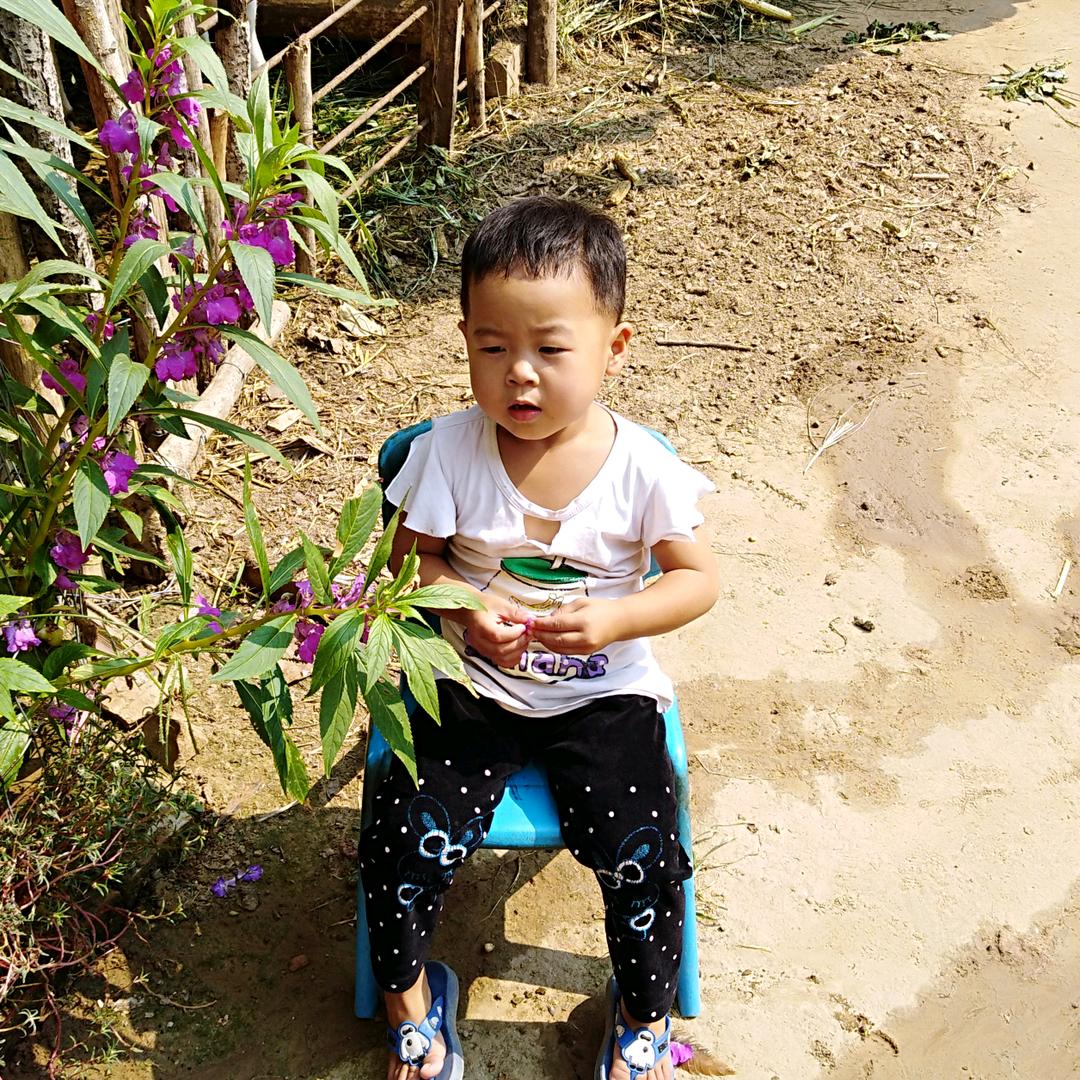 幸运草