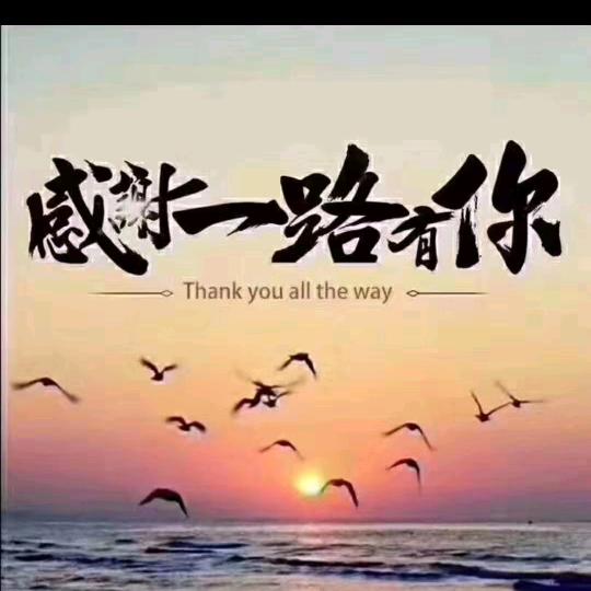 宏图……