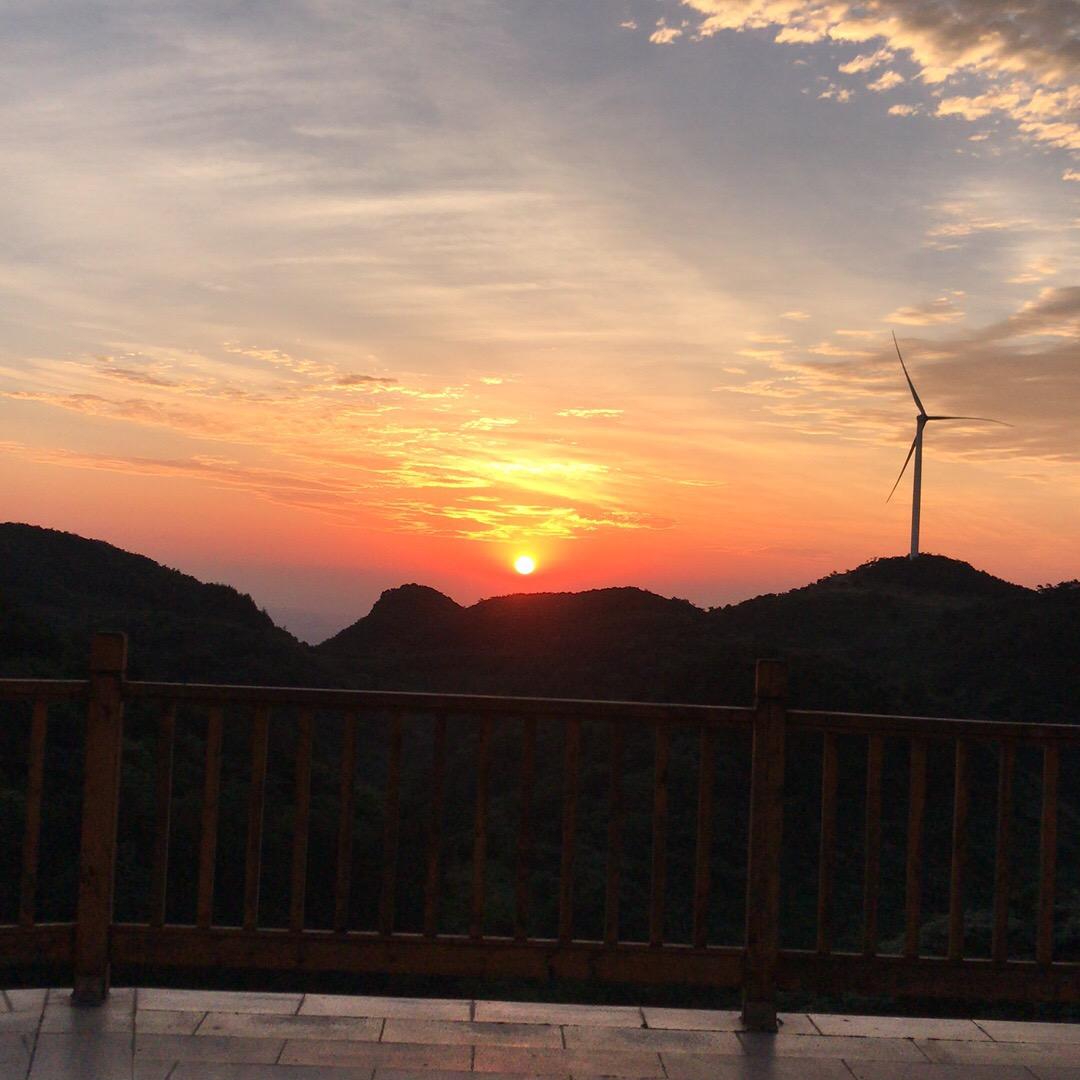 草根