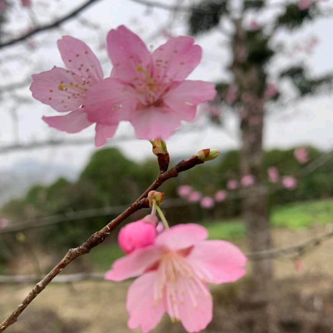 踮起脚尖.靠近阳光