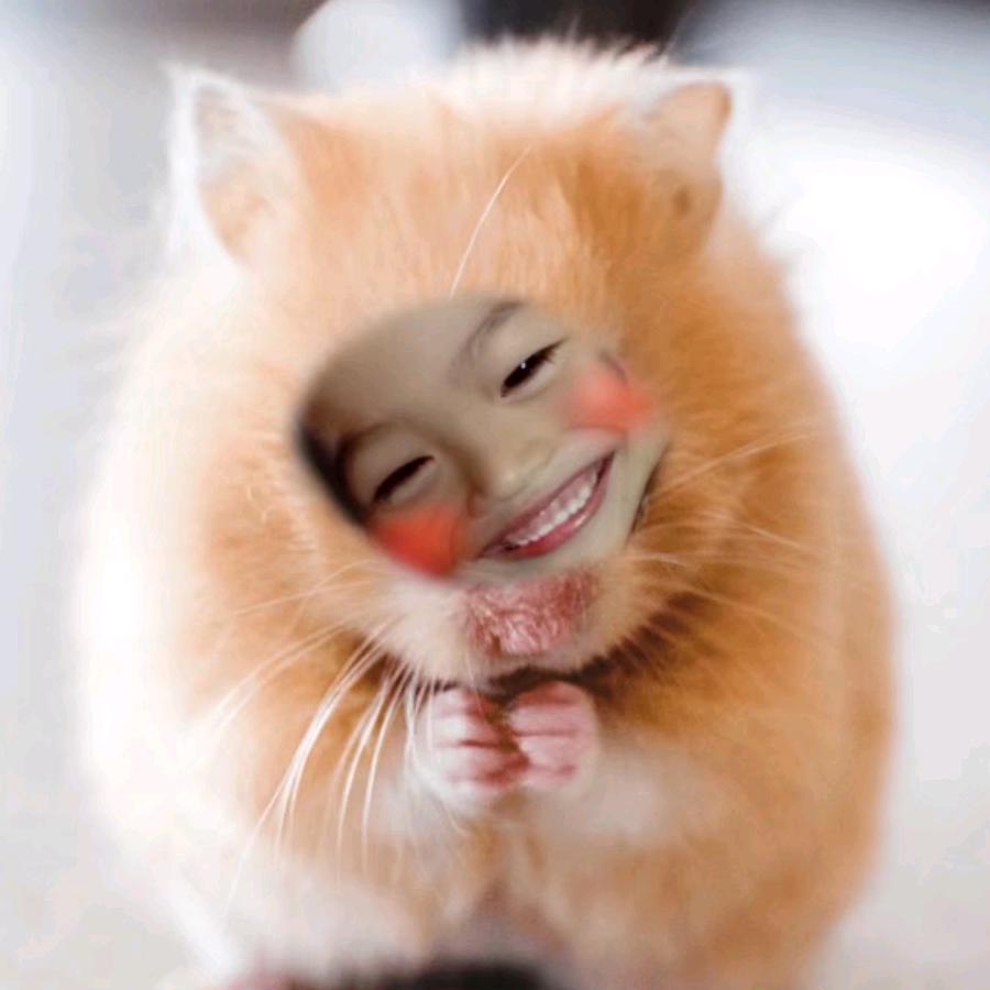 @拼搏的人