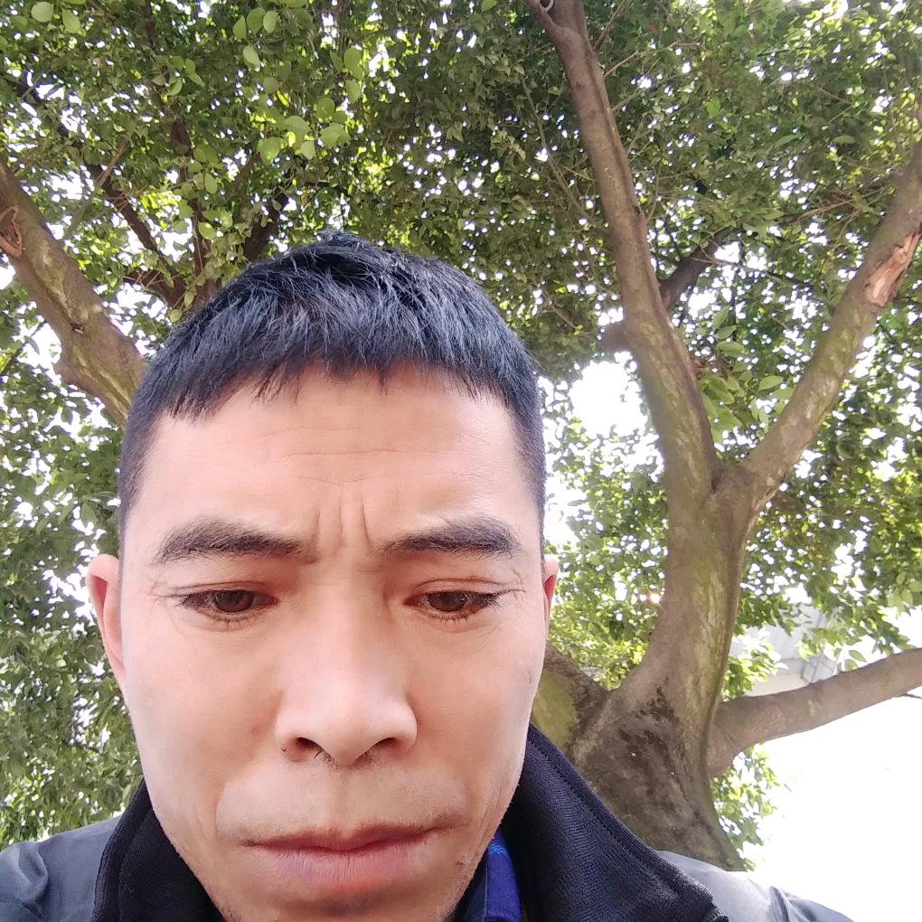 走向光明