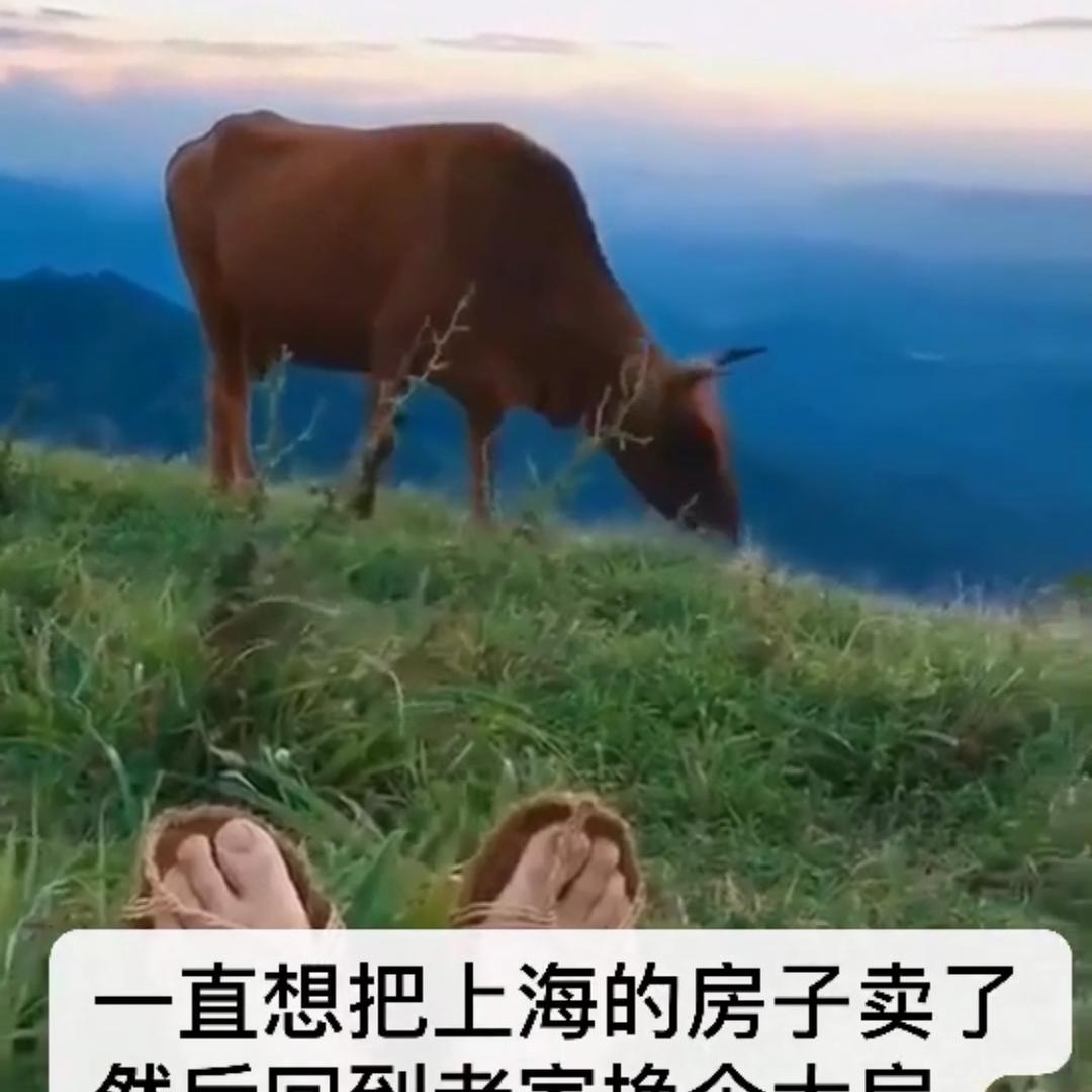 邻家女孩儿看剧