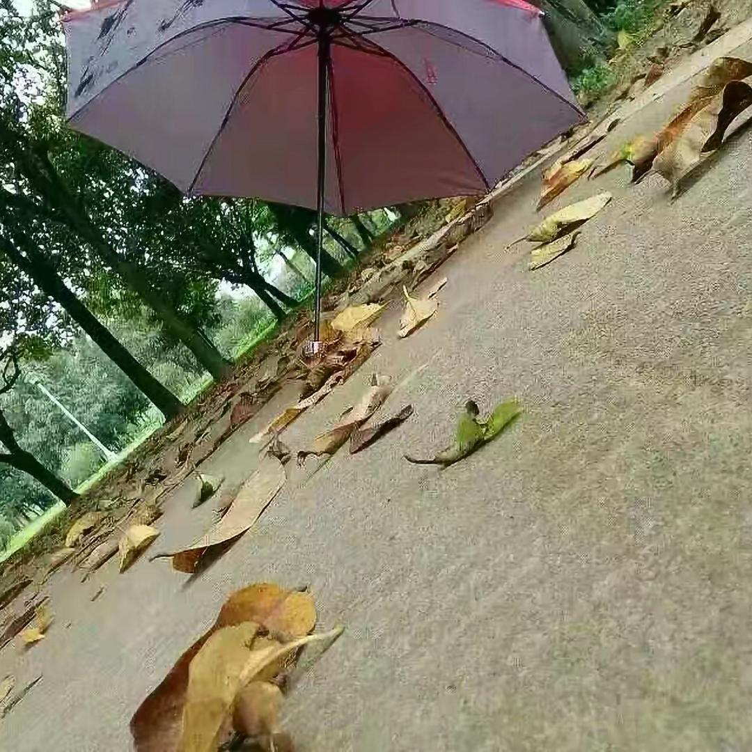 法国巴黎