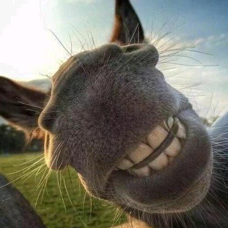 哇咔咔～真厉害