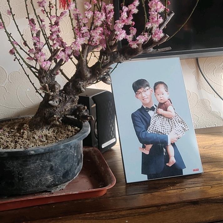 寿光水果运输大队长