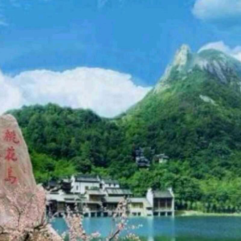 桃花岛主