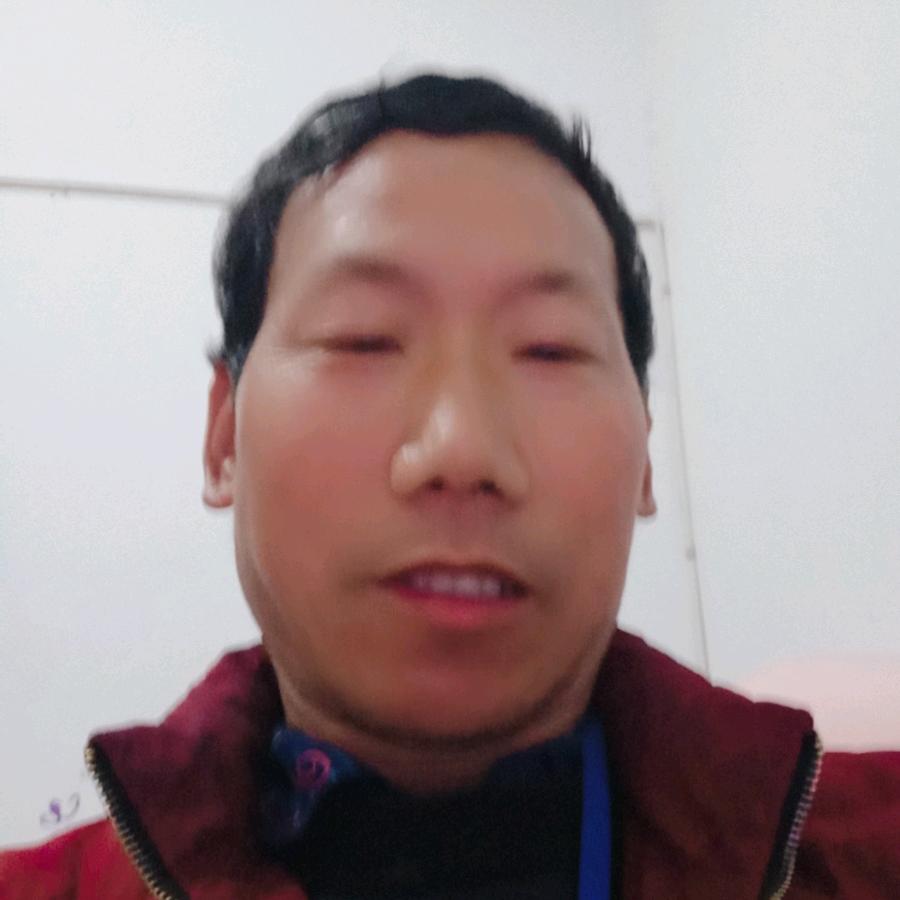 刘网