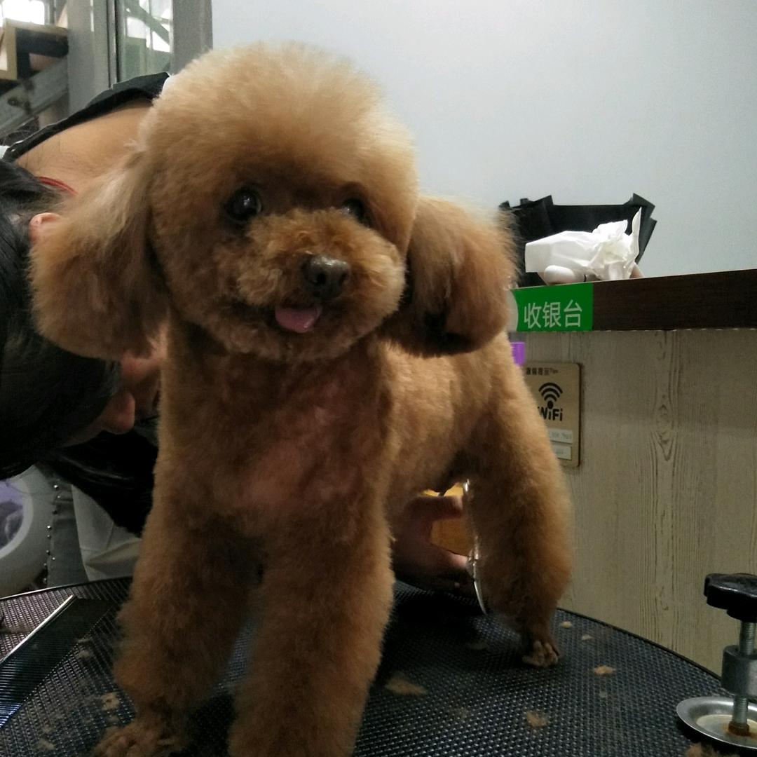 且听风铃
