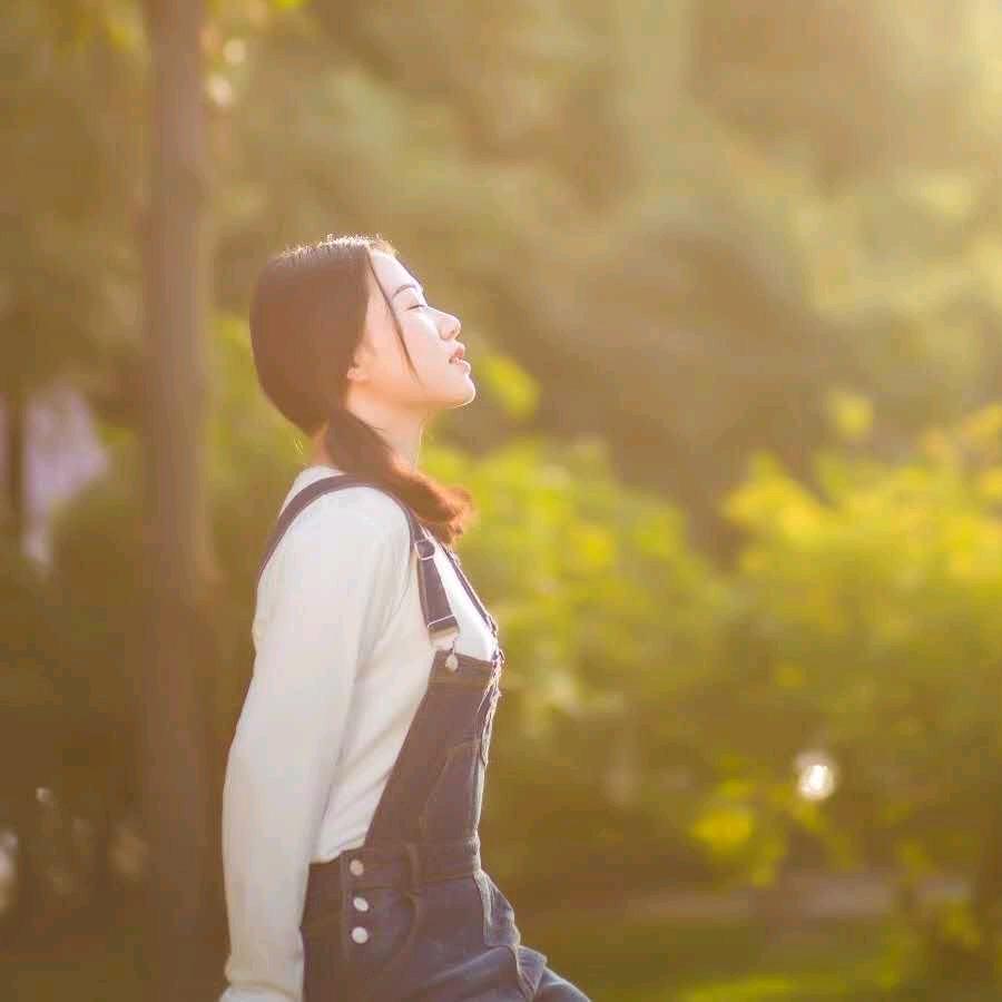 板桥春晓渔具