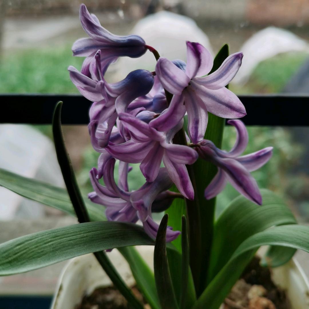 打气嘴，延长杆，连接转换接头，气门嘴帽