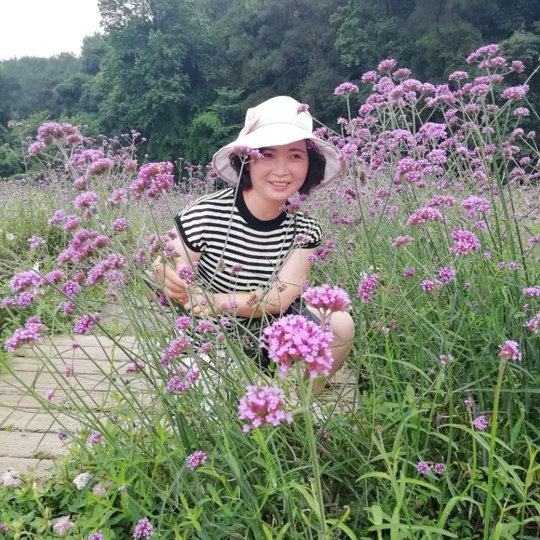 笨得可爱