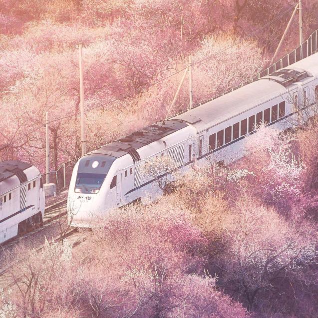 京东家电金东山店