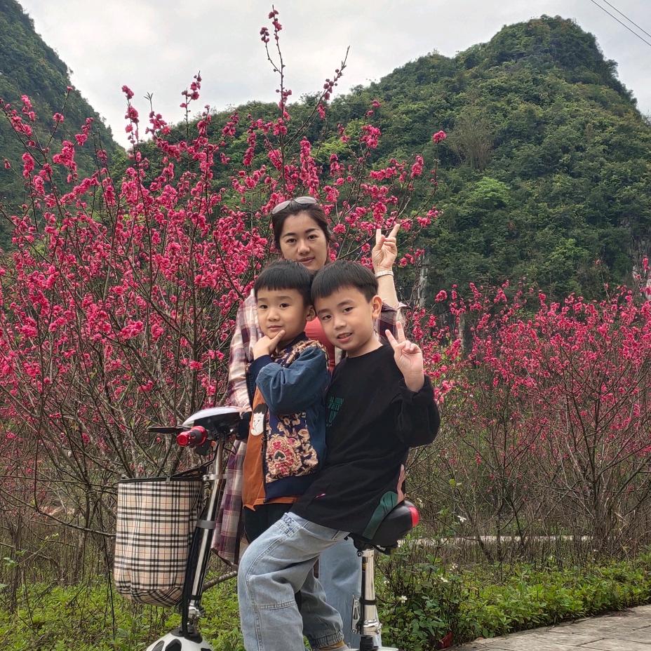 丽