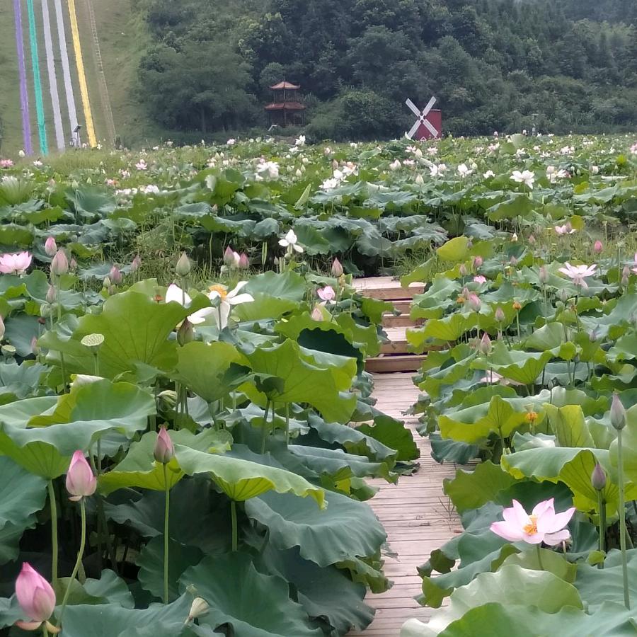 君临嵩州