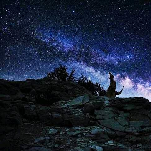 羡星
