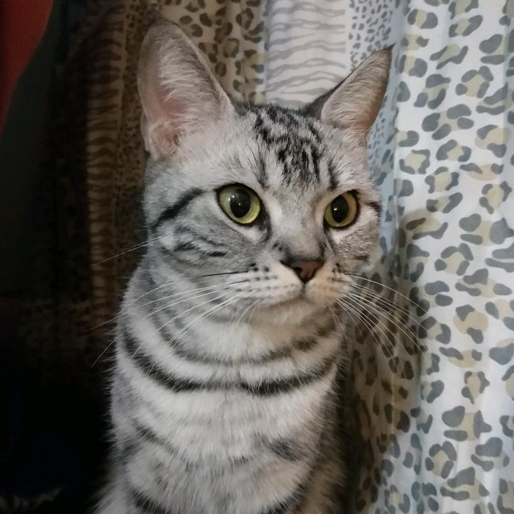 郑钱💰