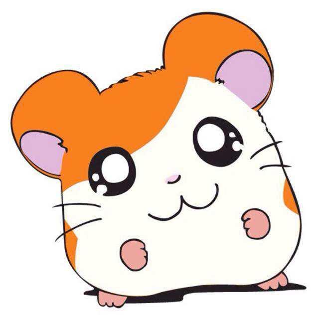 百变熊豆豆@抖音