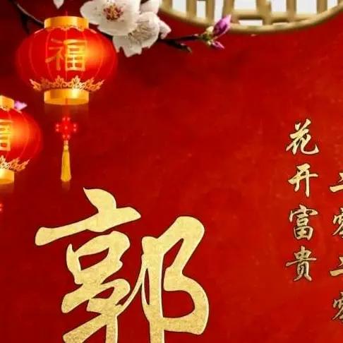 飞鹰计划