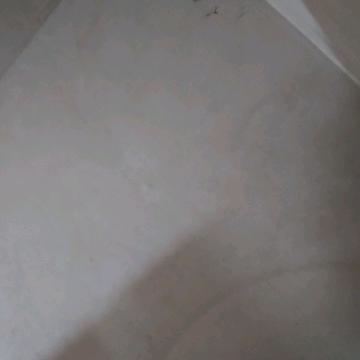 猛虎欣赏