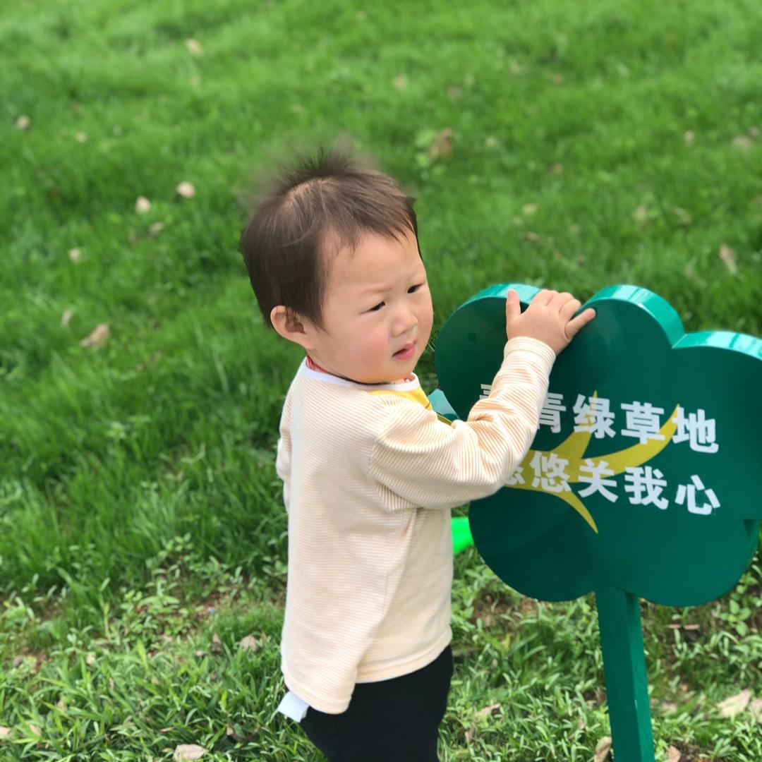 老刘