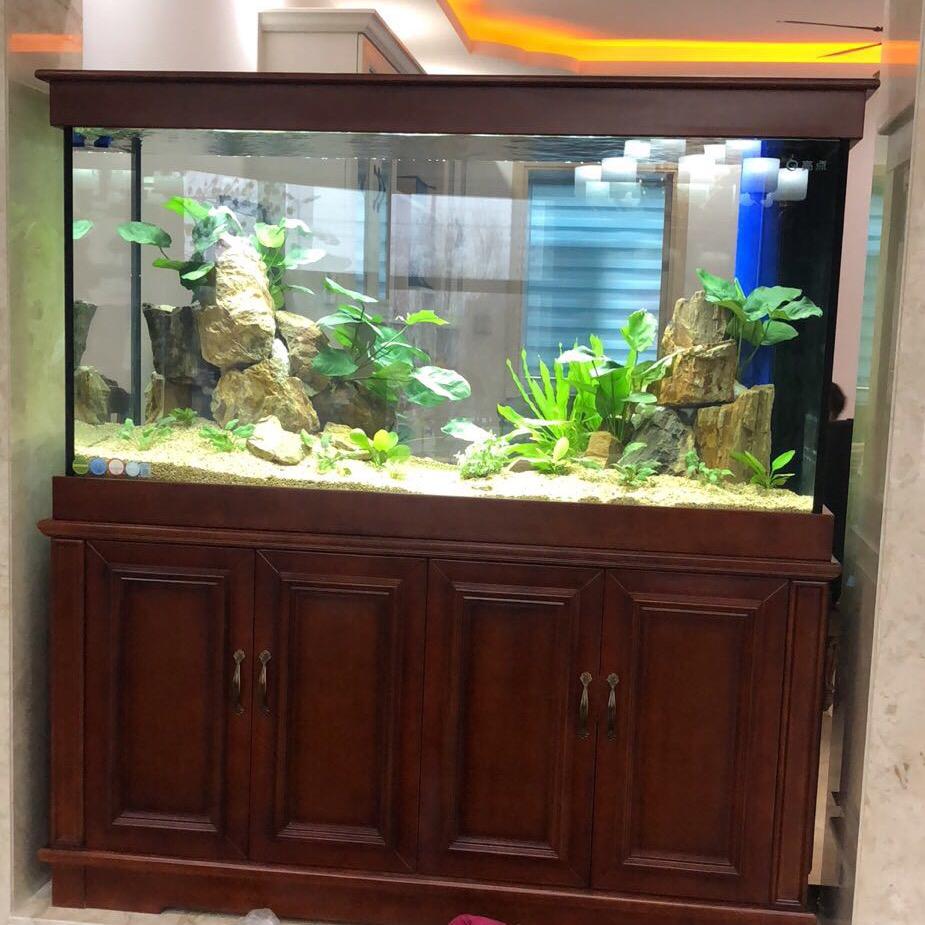 a亮点水族，新绿洲四楼