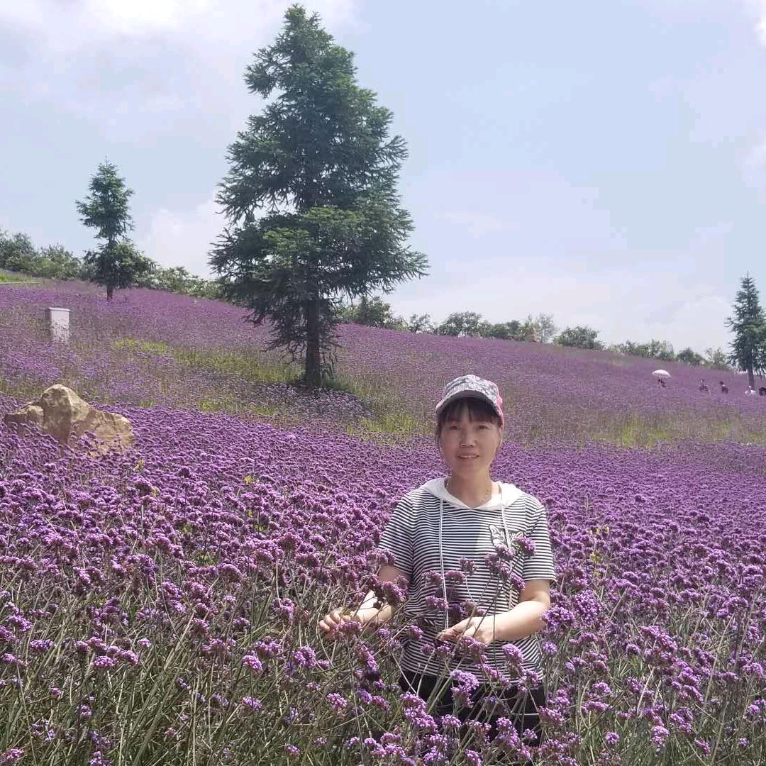 小草
