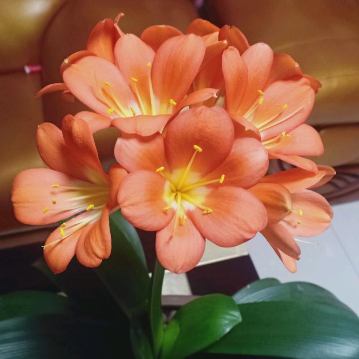 专业防水卫生间