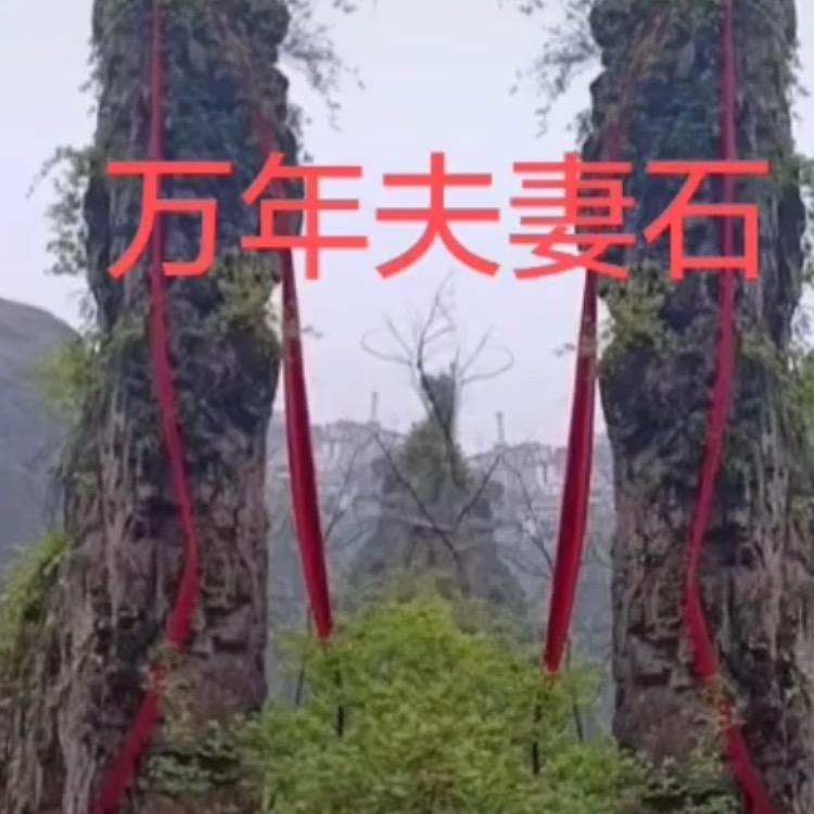 用户8752454937422