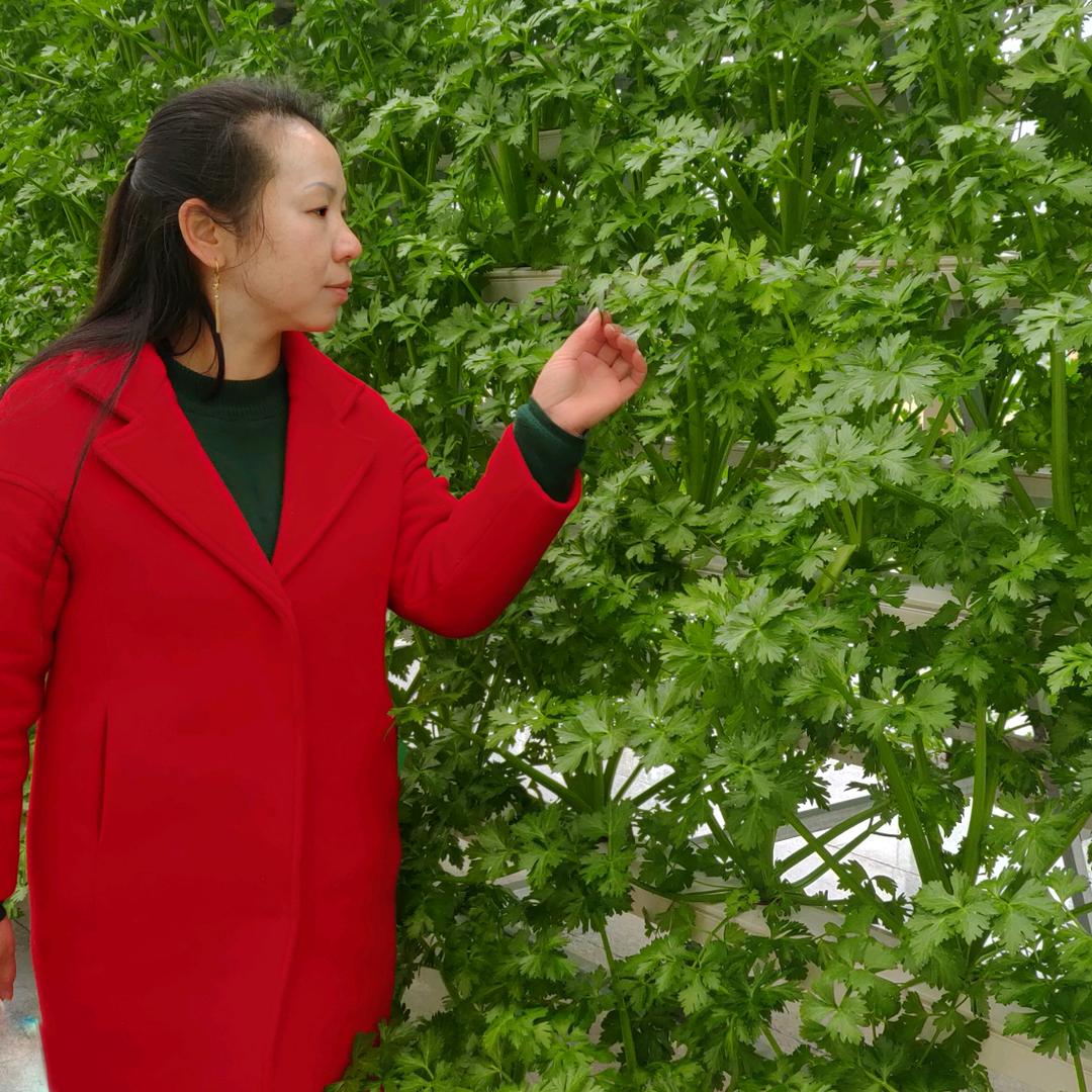 平安乐逍遥