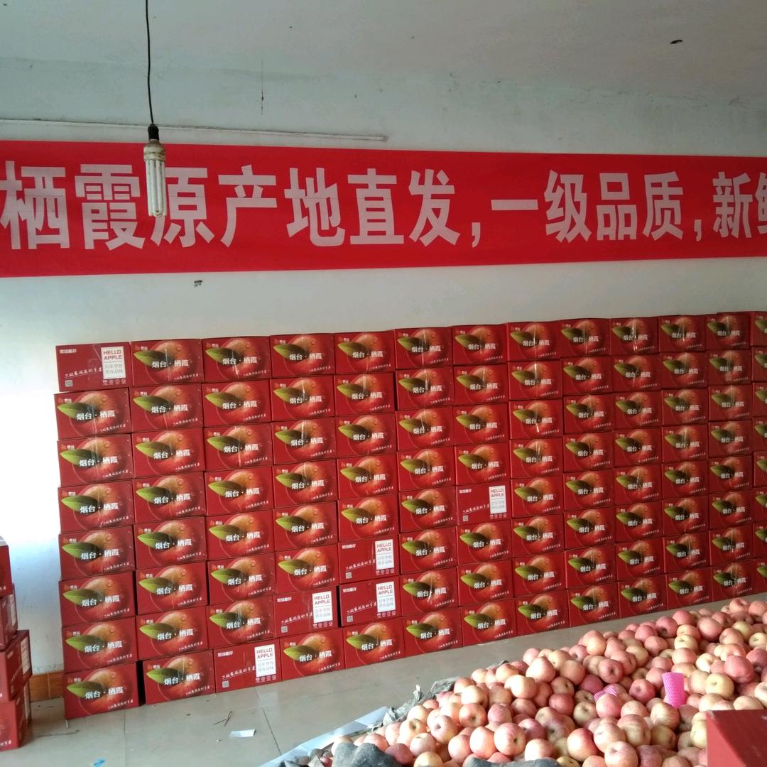 烟台栖霞☞苹果！小李