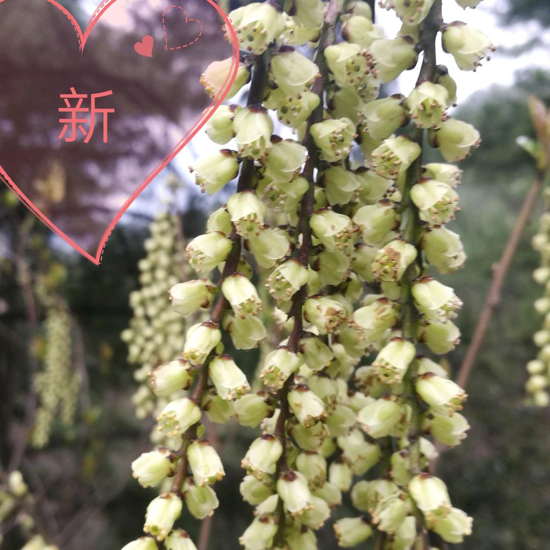 弱水三千，只取一瓢，但那一瓢也不属于我