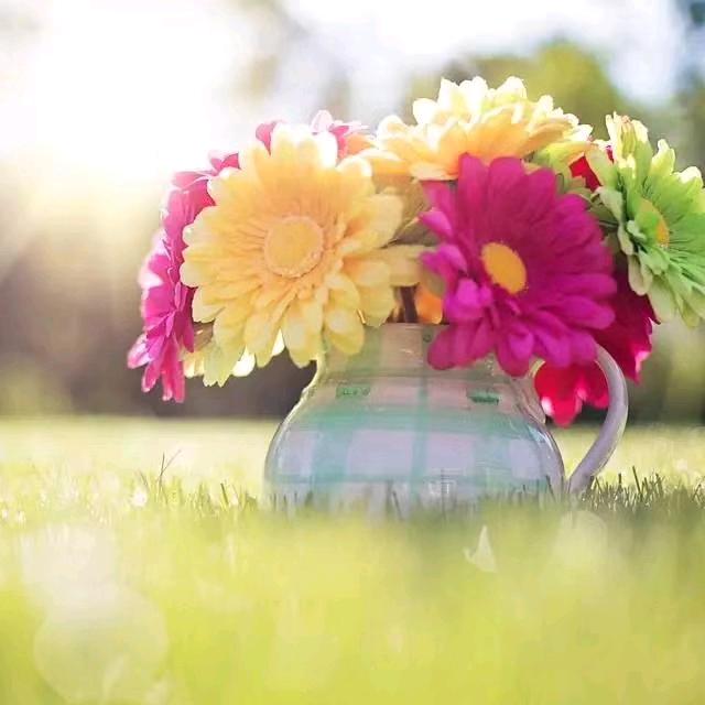 范小花
