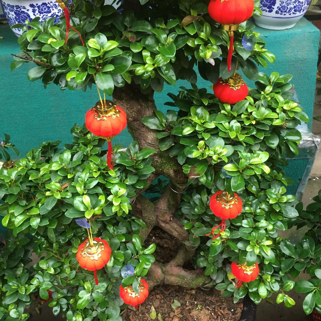 你过得好吗