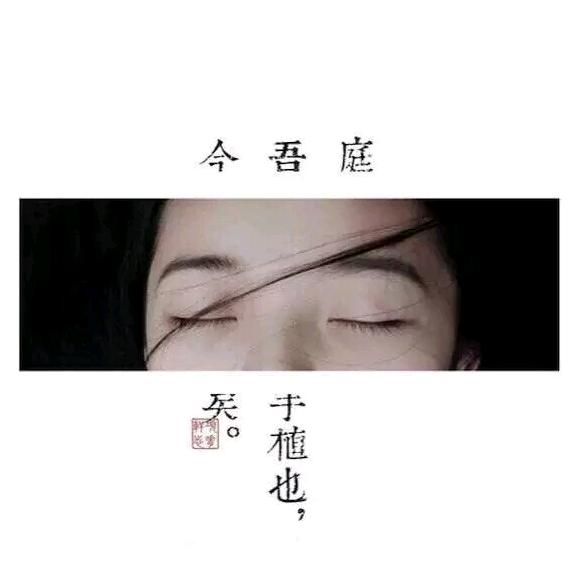 不想努力了