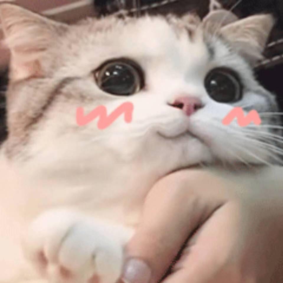 一梦