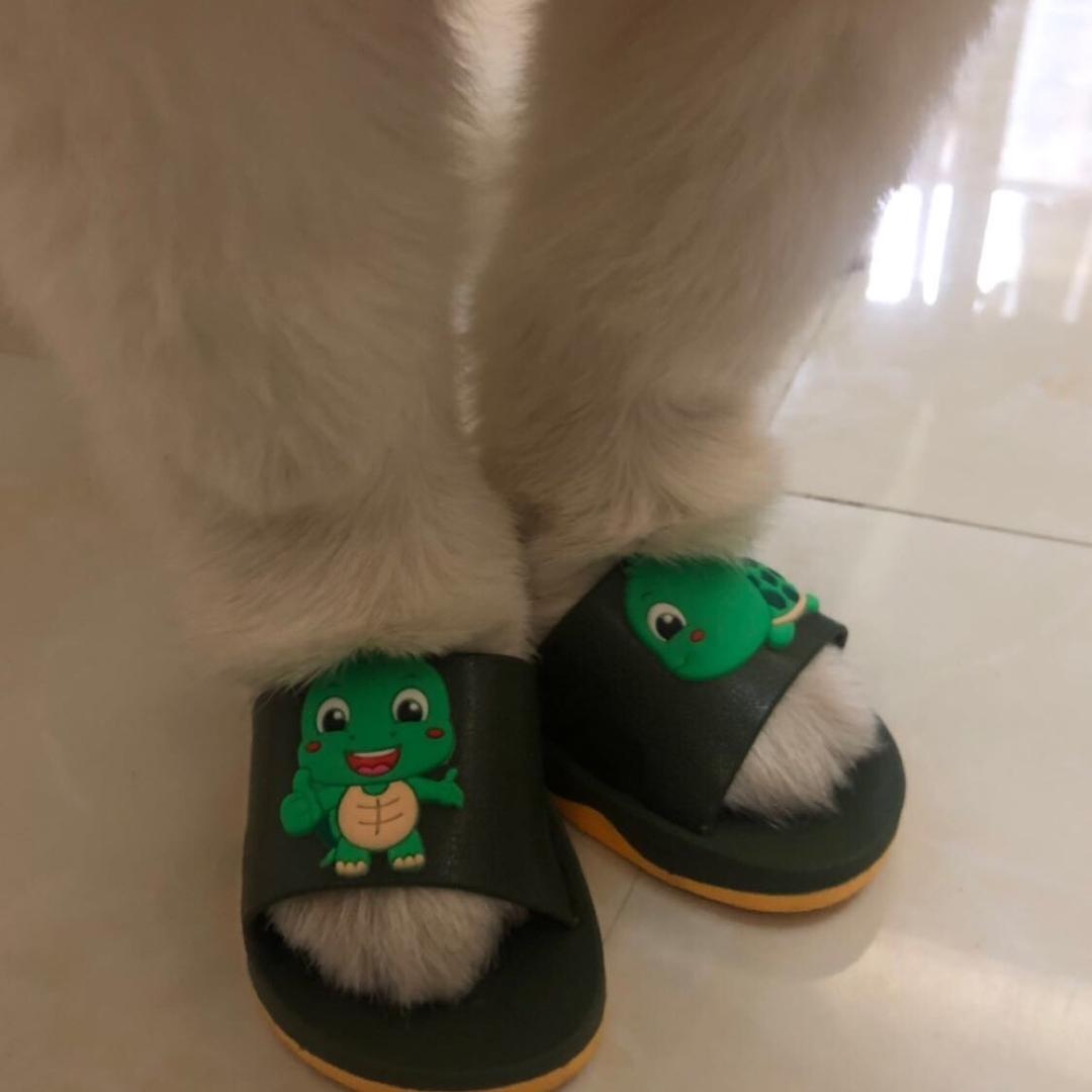 大米家二狗